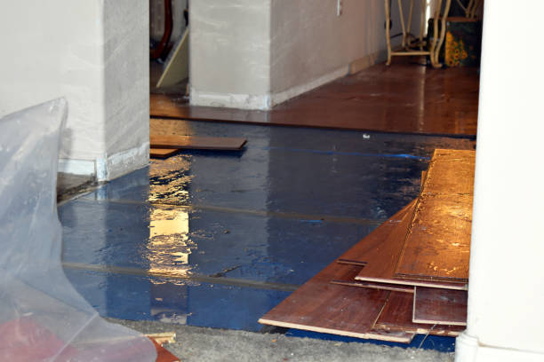 Professional Flood Damage Restoration technician working in Nelson, NH